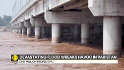 Pakistan Flood Disaster: Millions Struggle Amid 40-Year Record Rains News Clip