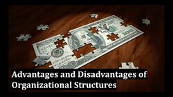 Advantages and Disadvantages of Organizational Structures Instructional Video