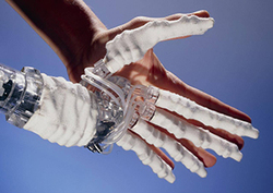 Living things Instructional Video