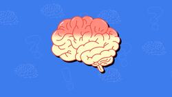 I WONDER - What Is The Brain Made Of? Instructional Video