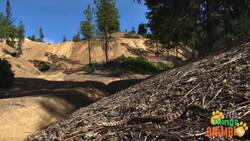 Exploring the World of Snakes: Masters of Adaptation Instructional Video