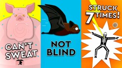 English Phrases That We Get Wrong Everyday! Instructional Video