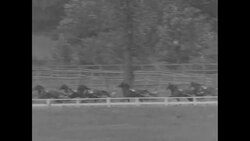 The Marchioness wins in 3-year-old trotting competition News Clip