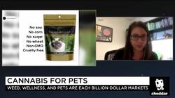 CBD Wellness Trend Makes Leap From Humans to Pets News Clip