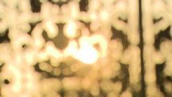 Kew Gardens Stockshots News Clip