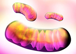 Respiración aerobia Instructional Video