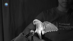 4 Awesome Discoveries You Probably Didn’t Hear About - Episode 31 Instructional Video