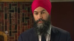 Liberal candidate quits over racial comments about NDP leader News Clip