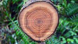 5 Clues to Earth's Climate History Instructional Video