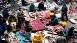 Five Big Myths of China's Belt and Road Initiative News Clip