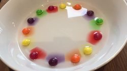Skittle Science Instructional Video