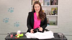 How to Deal with a Cat That's Always Hiding Instructional Video