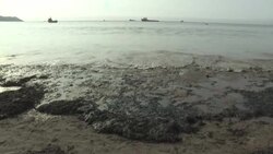 CLEAN : Volunteers in Peru clean up beaches polluted by oil spill News Clip