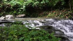 a little Waterfall in the Mountains Stock Footage