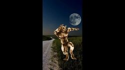Is The Moon The Most Natural Habitat For Werewolves? Instructional Video