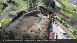 #TheMoment a bird of prey came face-to-face with a drone News Clip