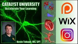 Transversus Abdominis | How to Activate It 💪 Instructional Video