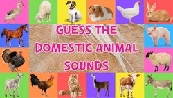 Guess The Domestic Animal Sounds For Kids Instructional Video