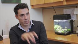 Using 1 germ to fight another when today's antibiotics fail News Clip