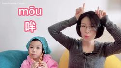 Chinese VS English Animal Sounds | 中国动物叫声 VS 西方动物叫声 | Animal Sounds for Children to Learn Instructional Video