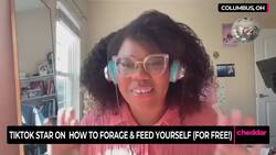 This Tiktok Forager Wants To Help You Eat For Free News Clip
