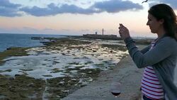 Wide Angle: Woman Taking Picture of Ocean Stock Footage