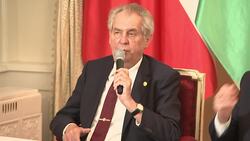 Zeman: EU and Britain reponsible for Brexit vote News Clip