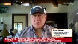 Minerd Says Fed's Main Street Lending Program a 'Disaster' News Clip