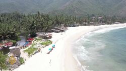 Jellyfish invasion disrupts Venezuela’s fishing and tourism News Clip