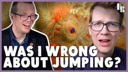 Why Are These Fish Walking? Instructional Video