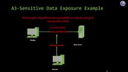 Sensitive Data Exposure Instructional Video