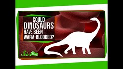 Could Dinosaurs Have Been Warm-Blooded? Instructional Video