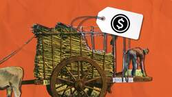 The Botched Invasion: Bay of Pigs Instructional Video