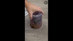 Turning Wood into Crystal Rain drops: ASMR Instructional Video