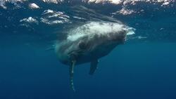 Taking Care of Our World Instructional Video