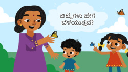 Lifecycycle of a butterfly - Kannada Instructional Video