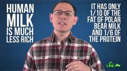 What Does Polar Bear Milk Taste Like? Instructional Video