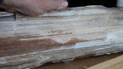 Fossils Instructional Video