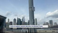 NYPD: 3-year-old boy stabbed 3 times in Brooklyn Bridge Park; spectators say hundreds of teens went running in a mob News Clip