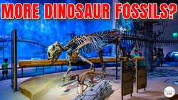 Why Are Dinosaur Fossils More Abundant Than Human Remains? Instructional Video