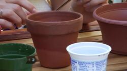How to Grow a One-Pot Indoor Herb Garden Instructional Video