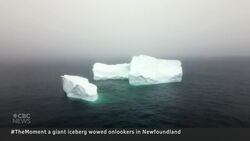 #TheMoment a giant iceberg wowed onlookers in Newfoundland News Clip