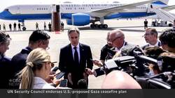 UN Security Council votes to back U.S. ceasefire plan News Clip