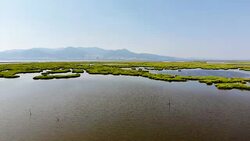 Aerial View of Wetland Stock Footage
