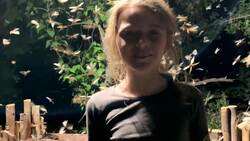 On Safari with Nala - Termites Instructional Video