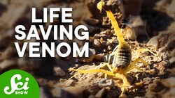 7 Medicines That Come from Super Toxic Critters Instructional Video