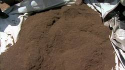 The Plant that Cures Malaria: The Challenges and Triumphs of Artemisia Growers in Africa Instructional Video