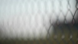 Washington Monument with flags at half mast News Clip