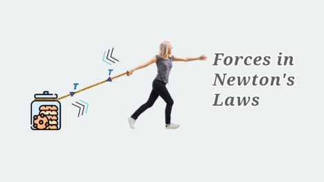 The 4 Must-Know Forces (to Solve Problems on Newton's Laws)