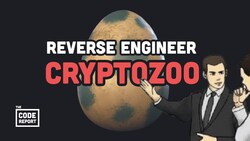 Recreating the CryptoZoo Scam Instructional Video